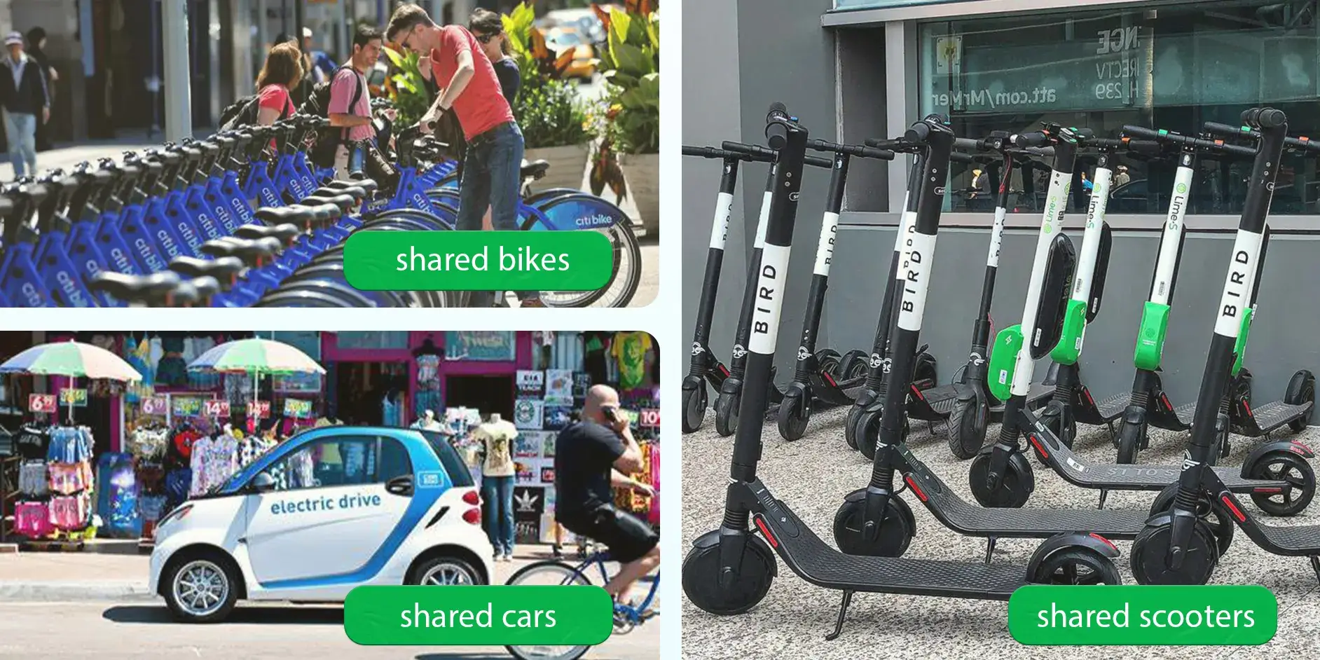 shared cars, bikes, and scooters in USA