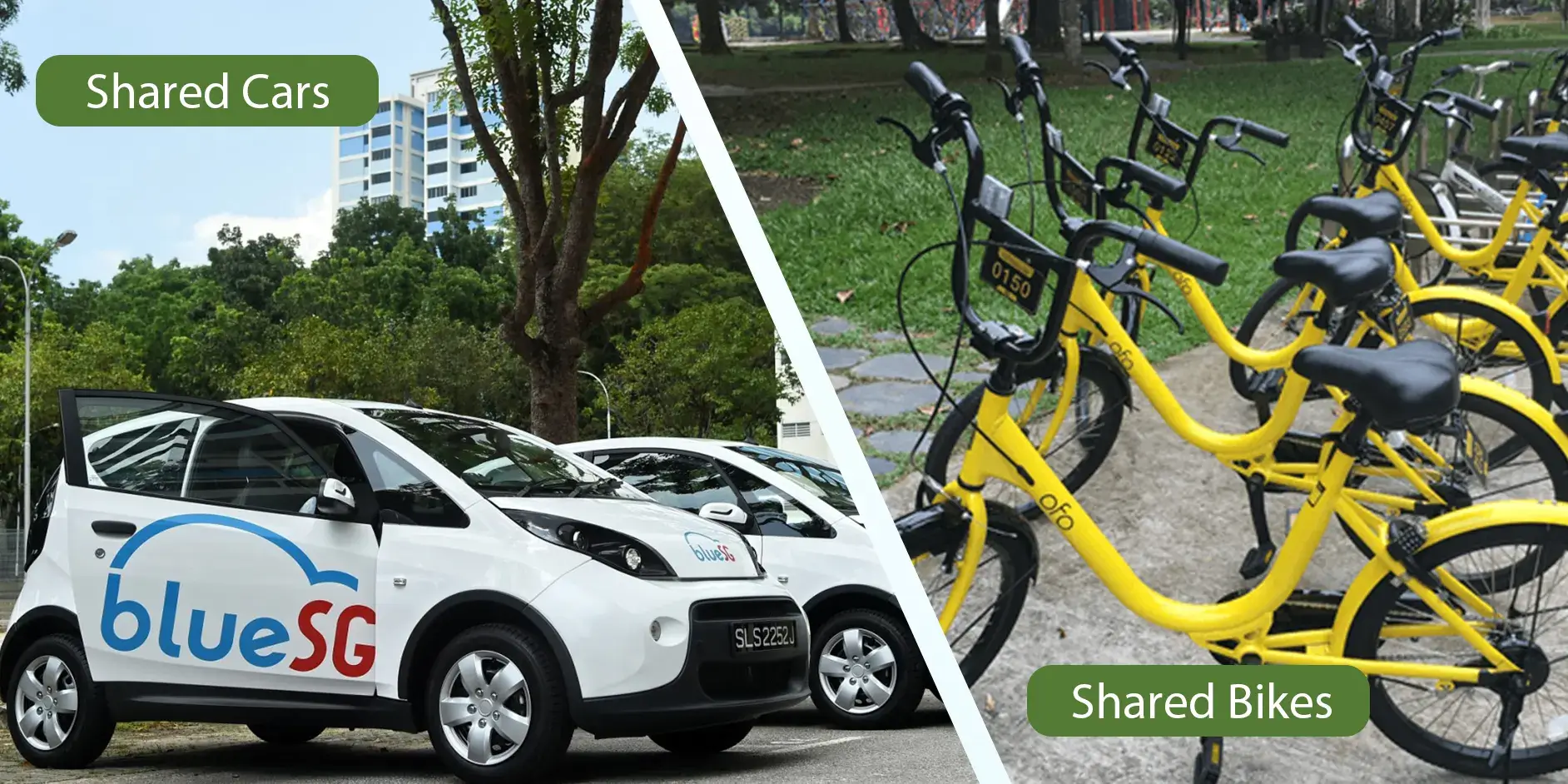 singapore shared cars and bikes